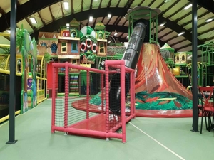 Cas de réussite de Vasia - Allemagne