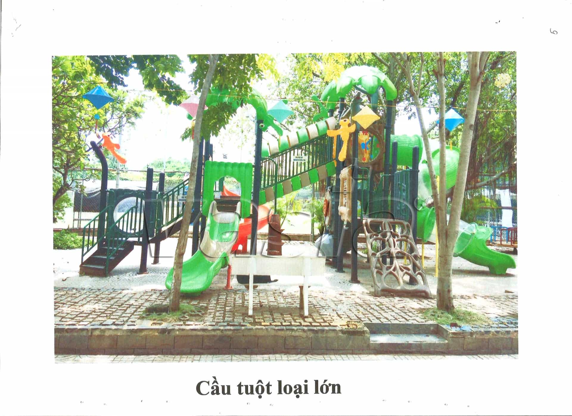 cas réussi en Pologne