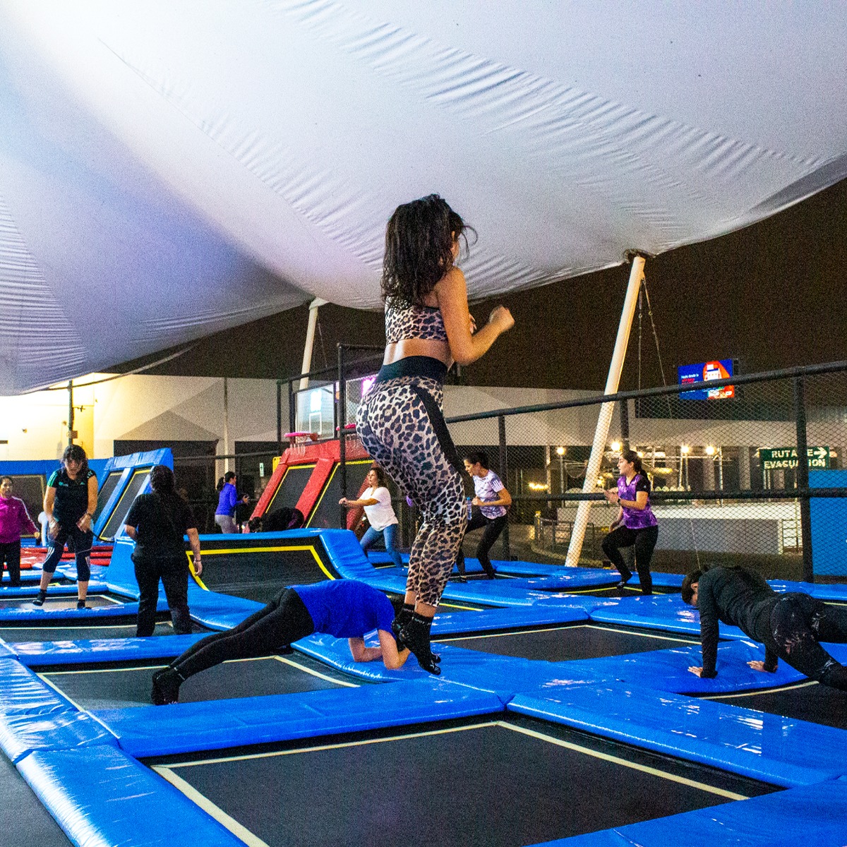 Gros trampoline commercial en gros pour adultes